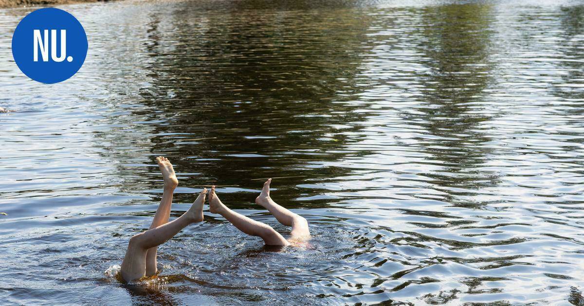 Luonto | Kuuden uimarannan vedet syynättiin Nurmijärvellä – tässä on tulos | Paikalliset