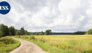 Näppis | Miksi aurinkopaneeleille pitää uhrata luontoa? | Pääkirjoitus & mielipide