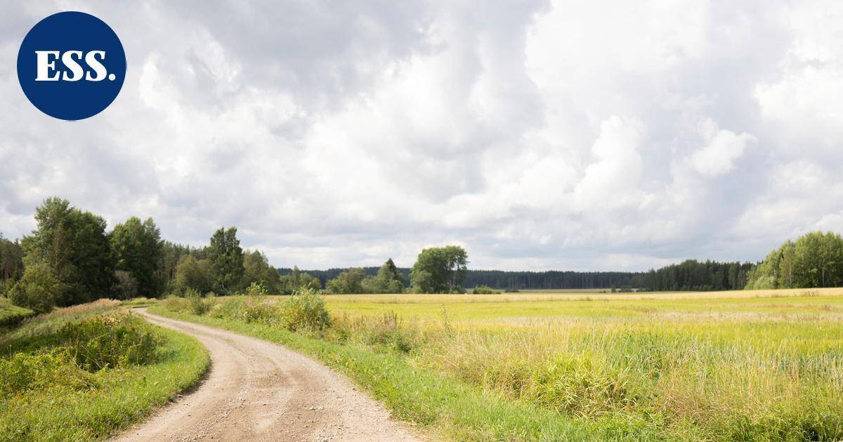 Näppis | Miksi aurinkopaneeleille pitää uhrata luontoa? | Pääkirjoitus & mielipide