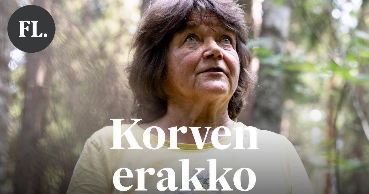Saarijärven erakko Marketta Horn, 76, on asunut Mörkökorvessa 11 vuotta – "En mene enää minnekään, missä on vesivessa" | Uutissuomalainen