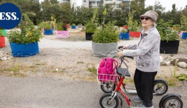 Millainen on Mukkulan S-marketin uusi puisto? – "Ei siellä ole yhtään penkkiä" | Päijät-Häme