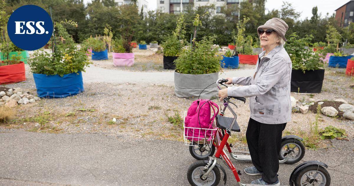 Millainen on Mukkulan S-marketin uusi puisto? – "Ei siellä ole yhtään penkkiä" | Päijät-Häme