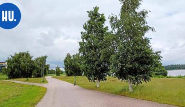 Tänne tulee Helsingin seuraava pyöräbaana | Paikalliset