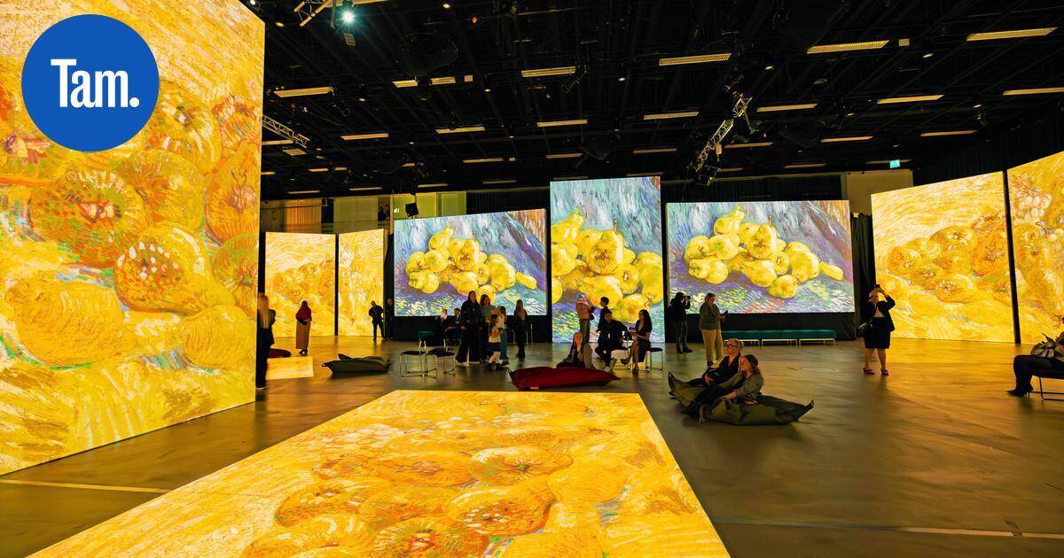 Supersuosittu Van Gogh kipusi Tampere-talon kesäennätykseen – "Traaginen mutta kaunis taiteilijakuvaus selvästi kosketti" | Paikalliset