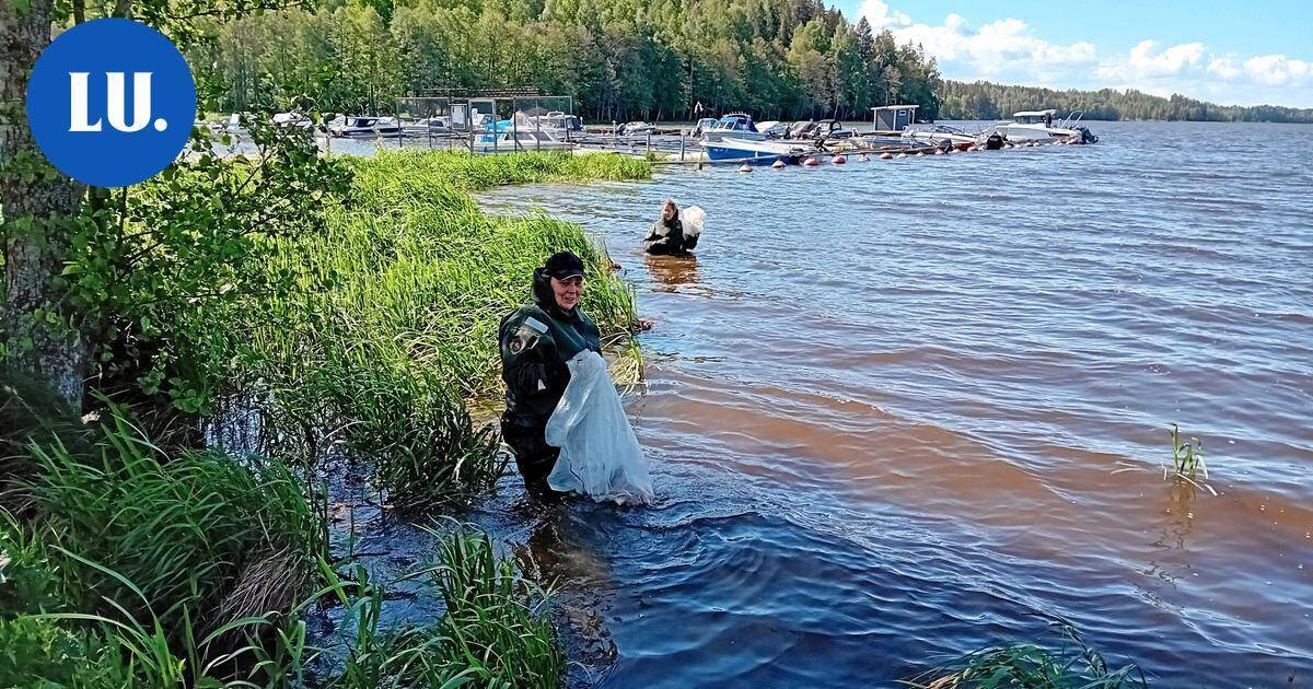 Ympäristö | Lohjaa siistitään yhteisvoimin syksyn roskatalkoissa | Paikalliset