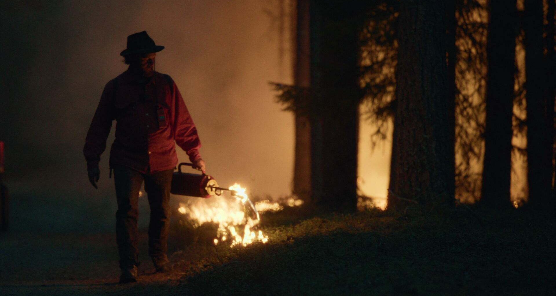 K1, J3: Tuhkasta nousee metsä | Luonto palaa