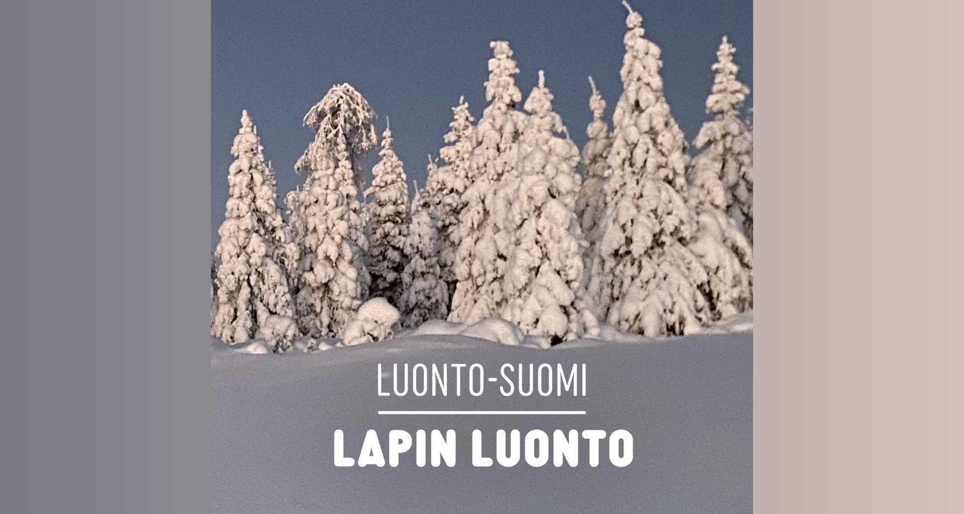 Lapin luonto | Luonto-Suomi | Yle Areena