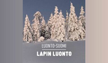 Lapin luonto | Luonto-Suomi | Yle Areena