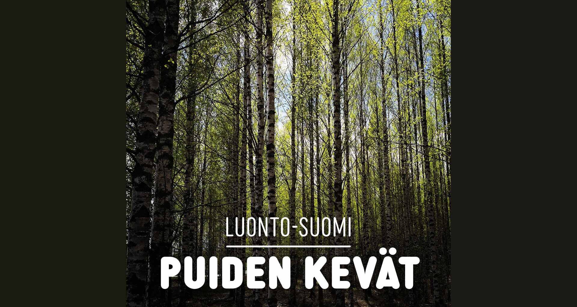 Puiden kevät | Luonto-Suomi | Yle Areena