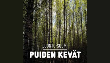 Puiden kevät | Luonto-Suomi | Yle Areena