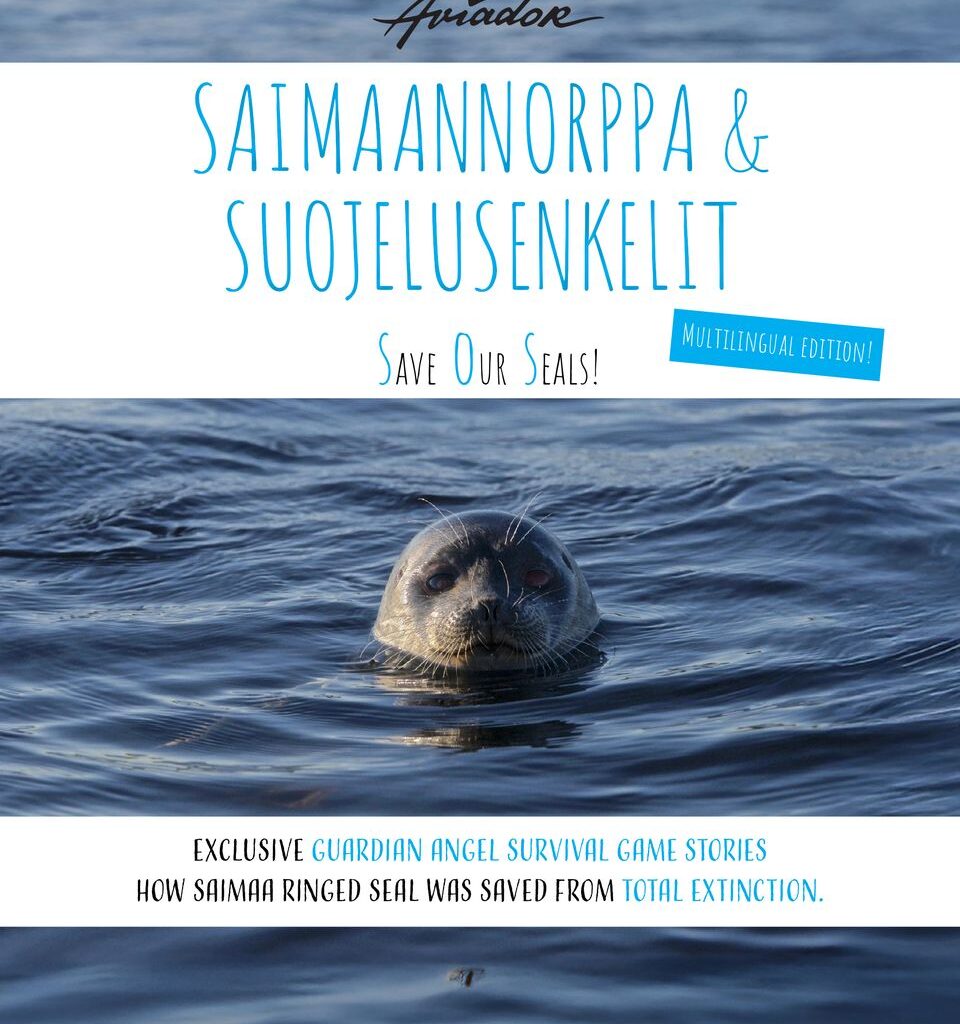 Kaksikielinen uutuustietokirja tarttuu saimaannorpan suojelutoimiin