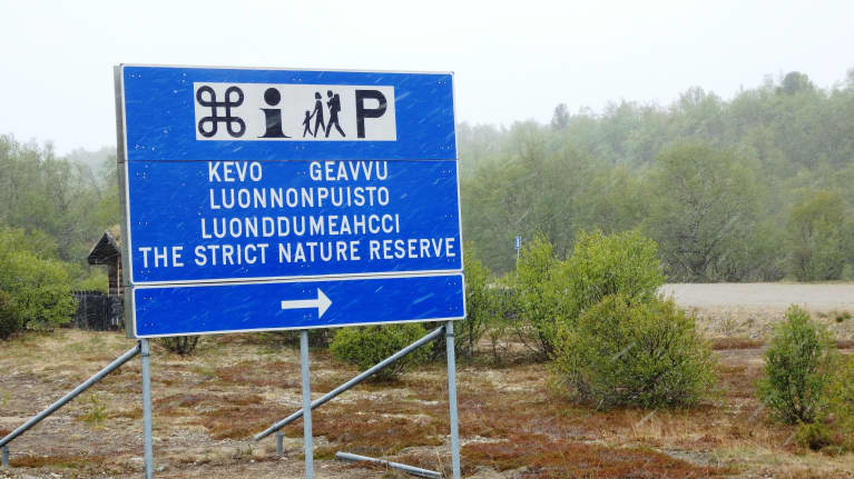 Kevon luonnonpuiston opastusalue.
