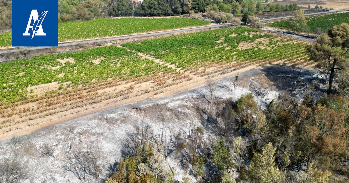 Etelä-Ranskassa raivonnut laaja maastopalo on saatu hallintaan
