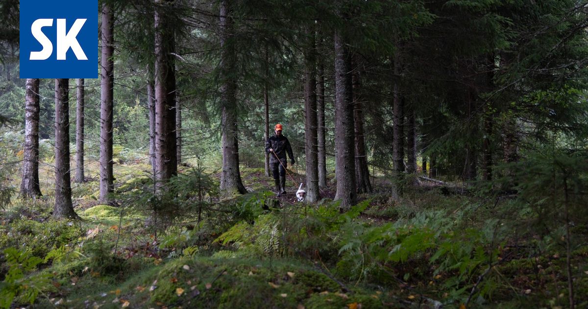 Esko Eela: Metsästäjät hoitavat luontoa talkoilla – mitkä olisivat vahingot ilman heitä?