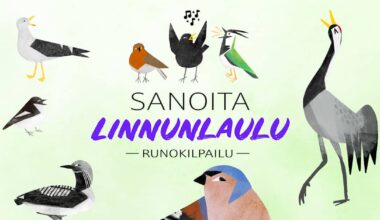 Lähetä oma runosi Sanoita linnunlaulu -runokilpailuun | Yle Luonto
