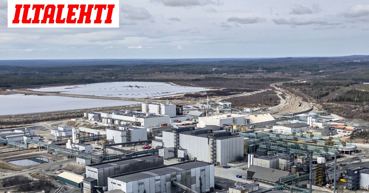 Kauppalehden kannessa poikkeuksellinen hätähuuto