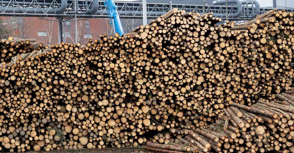 Paperikonetta uhkaa sulkeminen Lohjalla – sata työpaikkaa uhattuna | Kotimaa