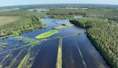 Luumäellä satoi kesäkuussa – pelloille syntynyt järvi ei ole vieläkään kadonnut | Etelä-Karjala
