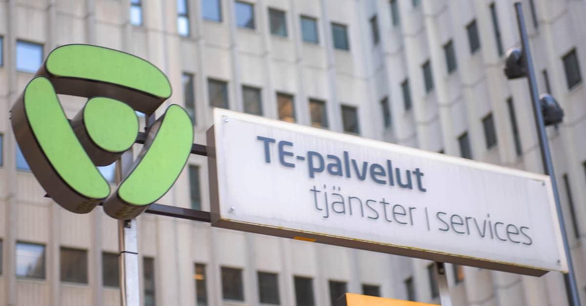 Lopetitko työt, kun työttömyysturvan suojaosa poistui? Vastaa kyselyyn, teemme juttua | Kotimaa