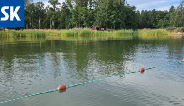 Lampaiden laidunsaari turvattiin Raumalla myös mereltä päin