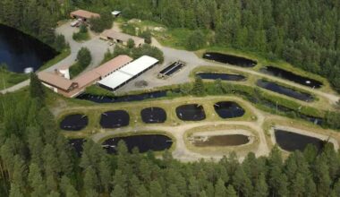 Ennätyksellinen helleputki tappoi kaloja kasvatuslaitoksissa – kalastajat Joensuun Jänisjoella ihmeissään | Kotimaa