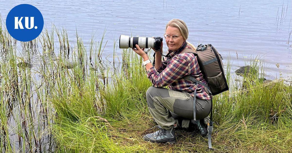 Henkilö | Pojan kuolema pysäytti – luontokuvaus auttoi järvenpääläistä Auli Leivosta löytämään tien surun läpi | Paikalliset