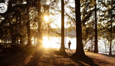 Tutkimustuloksia siitä, miten luonto parantaa terveyttää, vähentää masennusta ja suojaa lihavuudelta