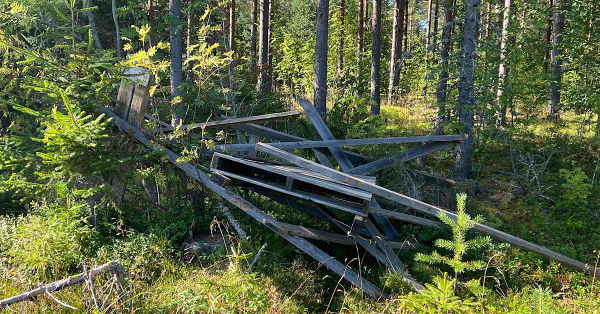 Eläinaktivistiryhmä ilmoittautuu hirvitornituhojen tekijäksi | Kotimaa