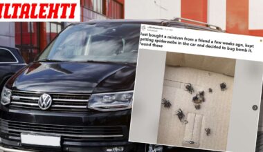 Autoon ilmestyvät hämähäkinseitit ihmetyttivät – Hyönteismyrkky paljasti järkyttävän totuuden