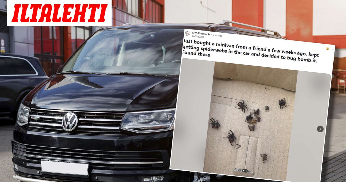 Autoon ilmestyvät hämähäkinseitit ihmetyttivät – Hyönteismyrkky paljasti järkyttävän totuuden