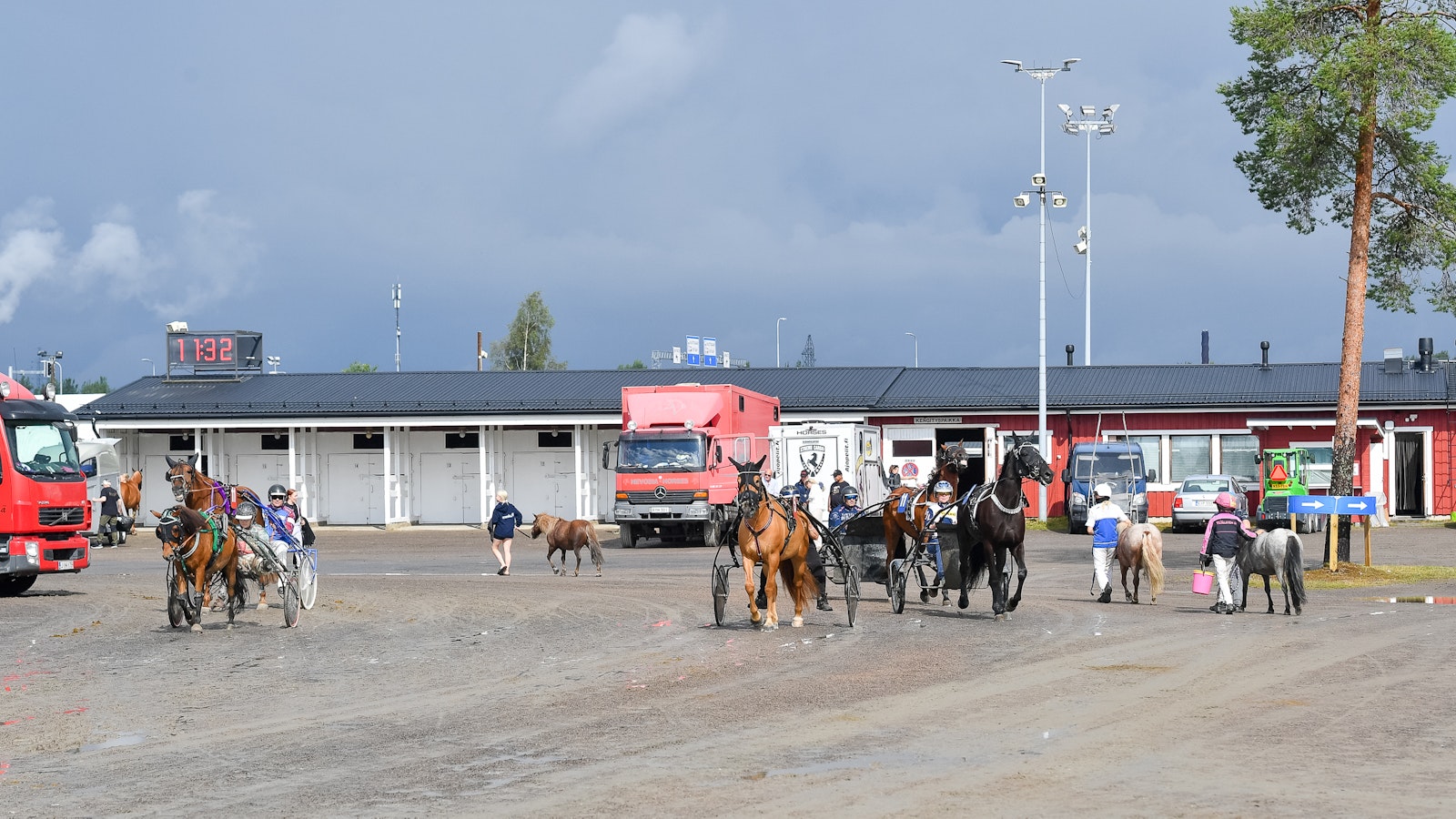 Tekoälyllä vai sittenkin ihan oikealla älyllä? - MT Hevoset