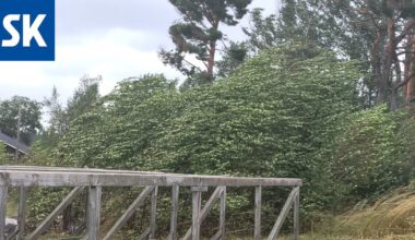 Kaatoiko myrskypuuska puun? Lähtikö trampoliini ilmojen teille tai vaihtoivatko pihakalusteet paikkaa? – Ota kuva ja lähetä se meille