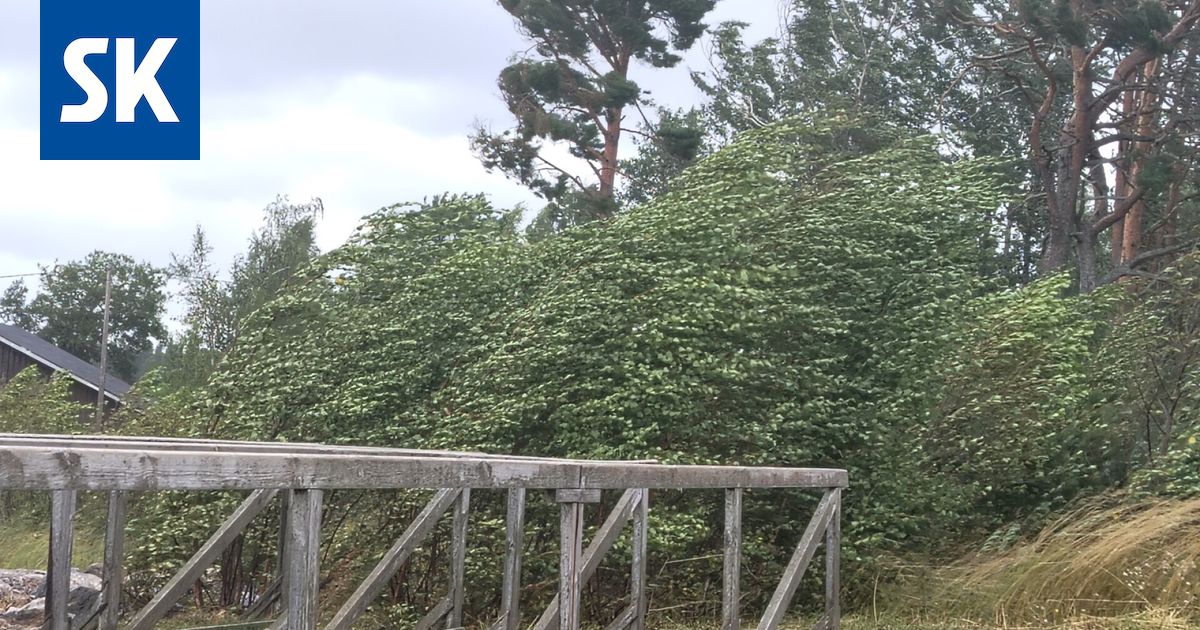 Kaatoiko myrskypuuska puun? Lähtikö trampoliini ilmojen teille tai vaihtoivatko pihakalusteet paikkaa? – Ota kuva ja lähetä se meille