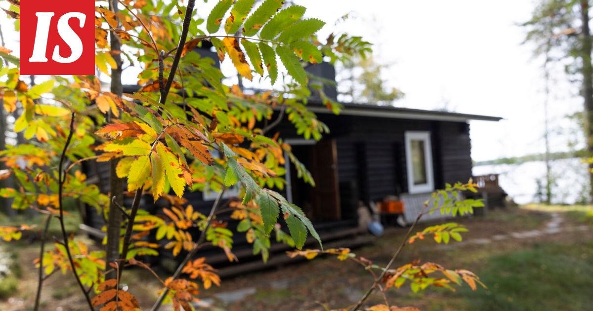 Näin karkotat myyrät kesämökiltä - Ilta-Sanomat