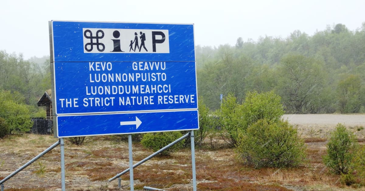 Kevon luonnonpuiston reittejä on jouduttu sulkemaan tulvien vuoksi | Lappi