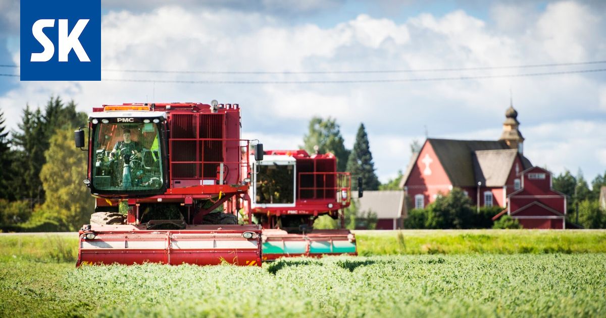 Apetit: Mittaushistorian kuumin jakso heinäkuussa heikensi satoa