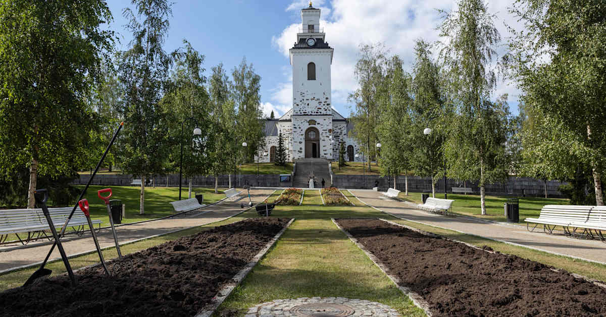 Hurja näky odotti Kuopion aluevastaavaa: ”Sadat tai tuhannet jalkaparit olivat kulkeneet istutusalueen yli” | Pohjois-Savo