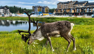 Lapin matkailun investointibuumi kasvatti Finnveran rahoitusta Pohjois-Suomessa | Pohjois-Pohjanmaa