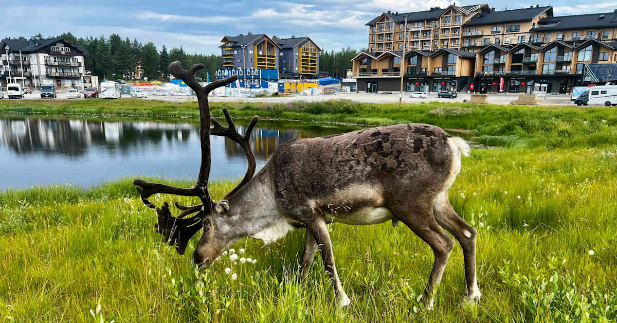 Lapin matkailun investointibuumi kasvatti Finnveran rahoitusta Pohjois-Suomessa | Pohjois-Pohjanmaa