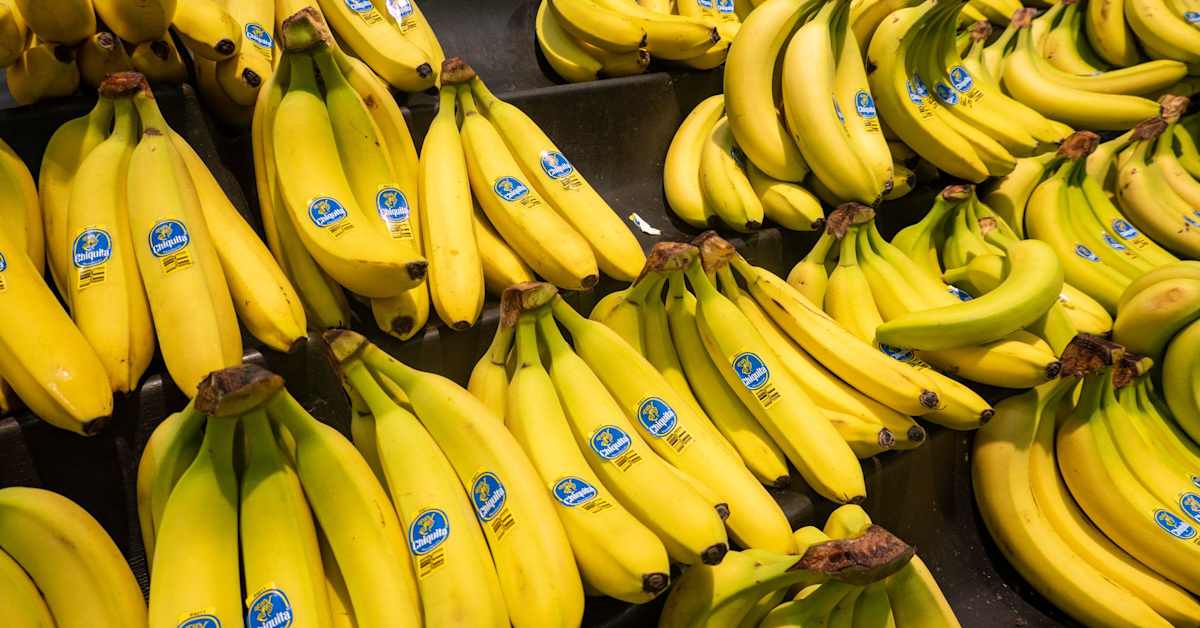 Banaanijätti Chiquita on palaamassa Panamaan | Uutisia lyhyesti