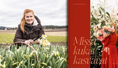 Millaista on leikkokukkien viljely Suomessa? Kaunis kirja avaa kukkatuottajan arkea - Koti