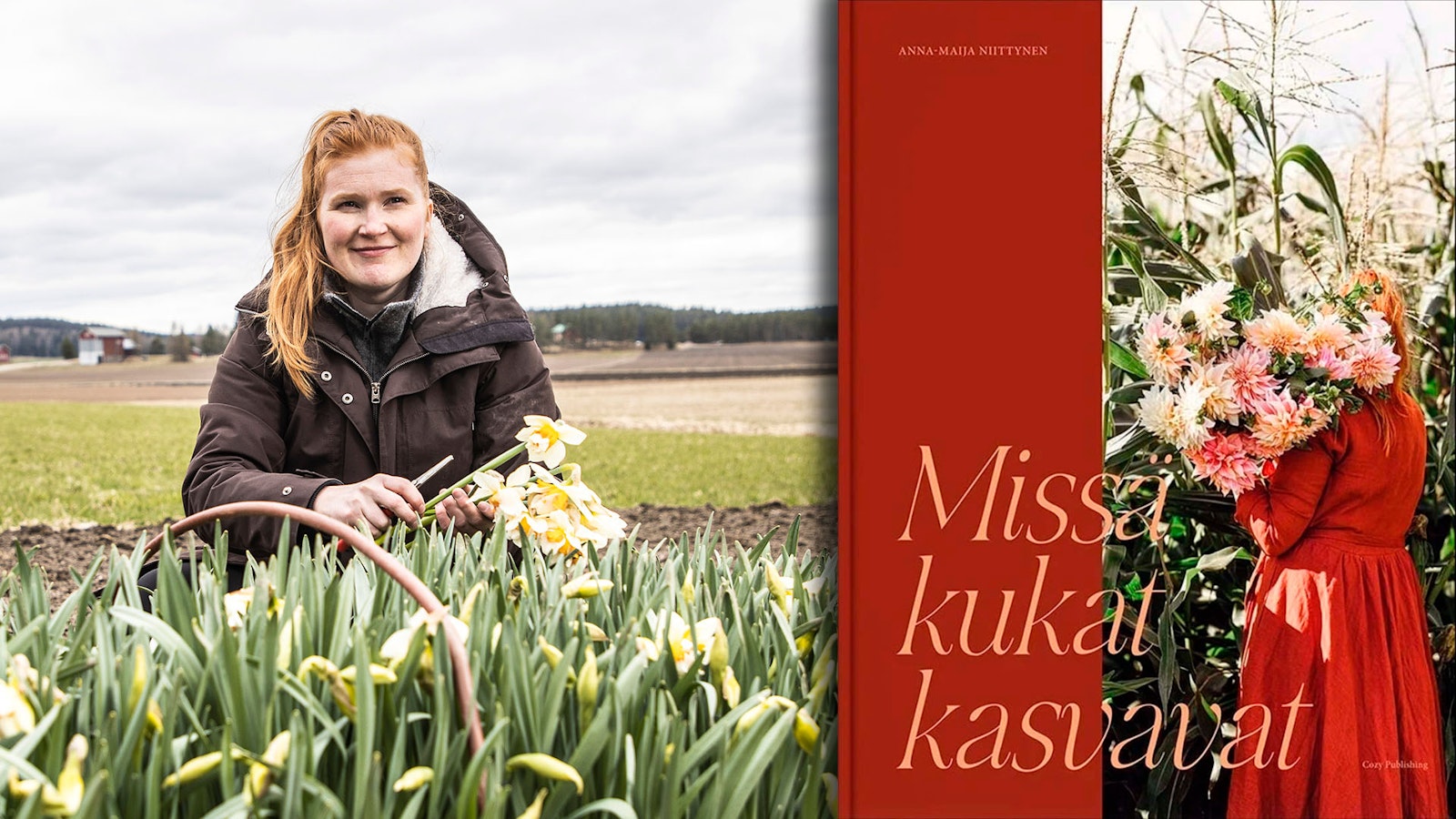 Millaista on leikkokukkien viljely Suomessa? Kaunis kirja avaa kukkatuottajan arkea - Koti