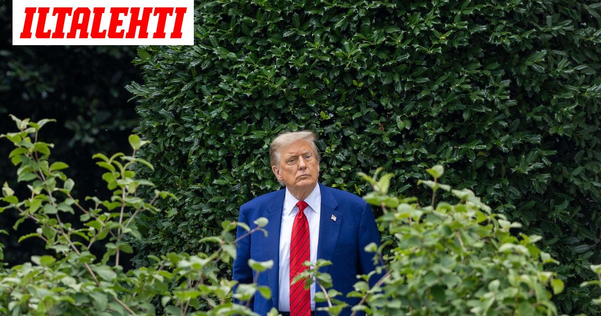 ”Sain heidät kiinni itse teossa”