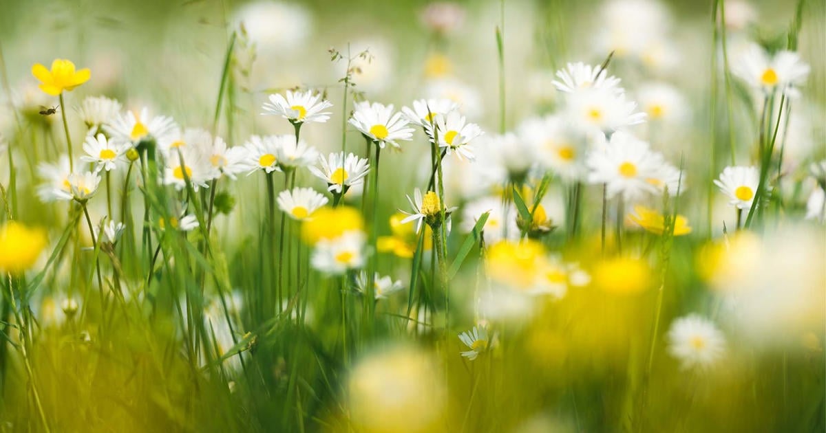 Luonto toi iloa ja kokemuksia – nuori kesätyöntekijä IkiOma Ikä ry:llä