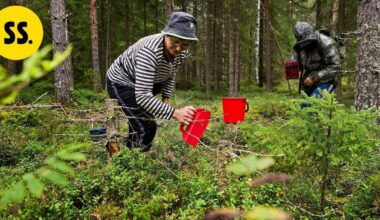 Pääkirjoitus | Jokaisenoikeus on syytä ottaa tarkasteluun | Pääkirjoitus & mielipide