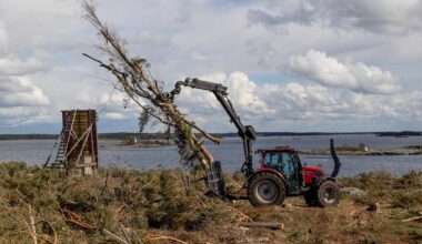 Metsähallitus pisti majakkasaaren puut matalaksi – avohakkuu, josta uhanalainen luonto kiittää | Luonto