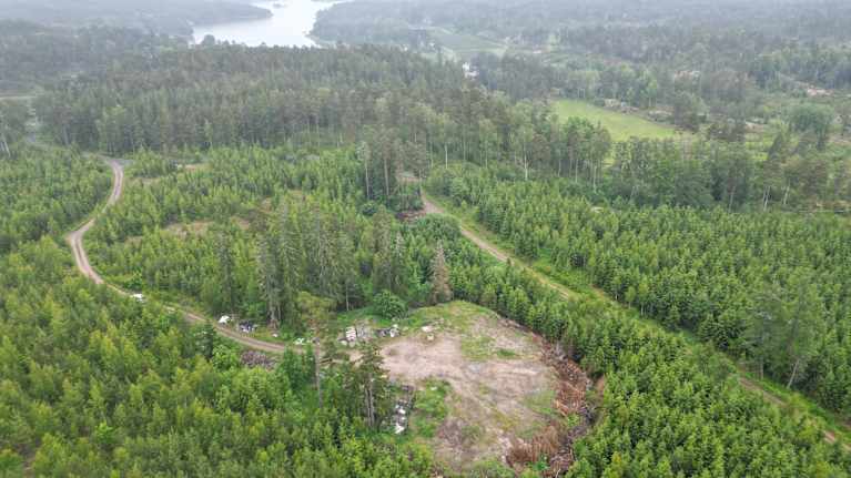 Harmaana päivänä Kemiönsaarella, metsä ympäröi kalliota, jota halkovat metsätietä. Kaukana siintää meri.