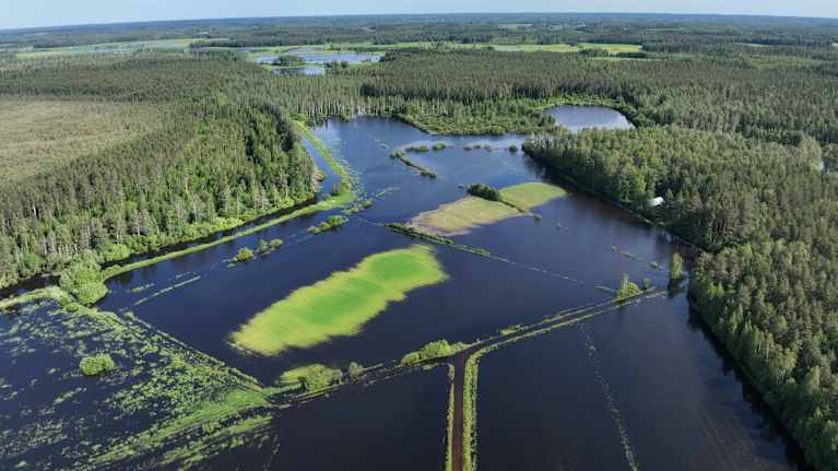 Vesi on noussut pelloille ja metsiin Luumäellä. Tulva-alue näyttää isolta järveltä.