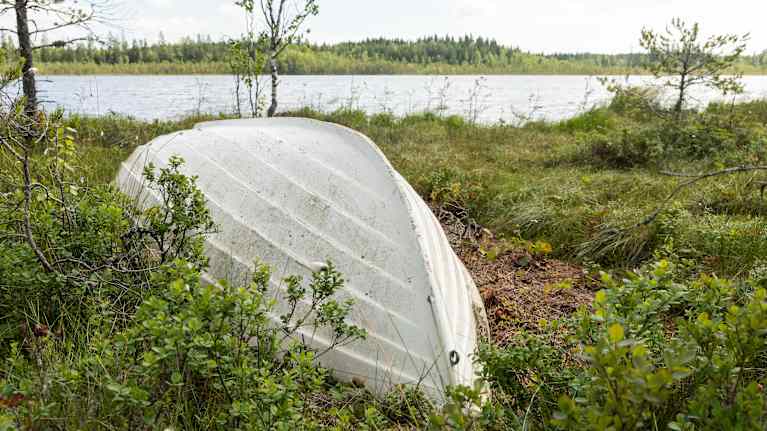 Näkymä järven rannalta, jossa valkea vene lepää ylösalaisin suokasvien keskellä. Taustalla siintää rauhallinen järvimaisema ja metsää.