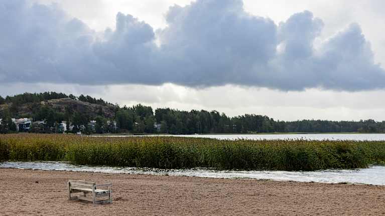Puistopenkki uimarannalla. puolipilvinen sää.